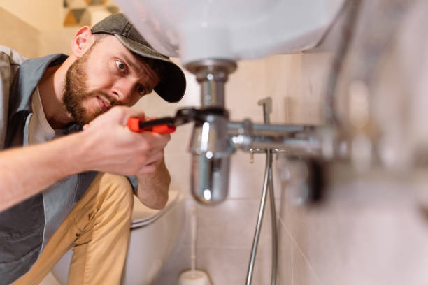 Sprinkler Systems in St Anne, IL